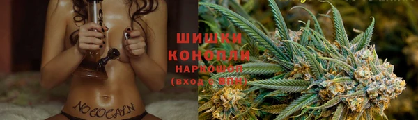 молекула духа Зеленодольск