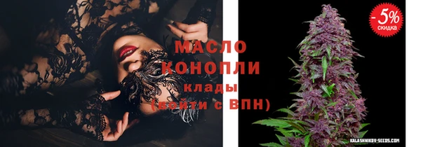 молекула духа Зеленодольск