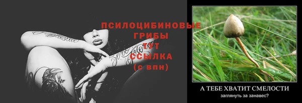 молекула духа Зеленодольск