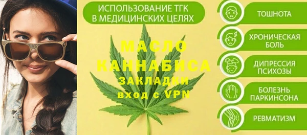 прущие грибы Ельня