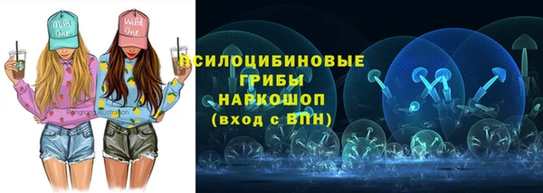 эйфоретик Зерноград